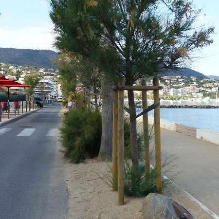 Studio Cosy Avec Tv Et Cuisine Equipee, Bord De Mer Le Lavandou - Fr-1-308-34 Exterior foto
